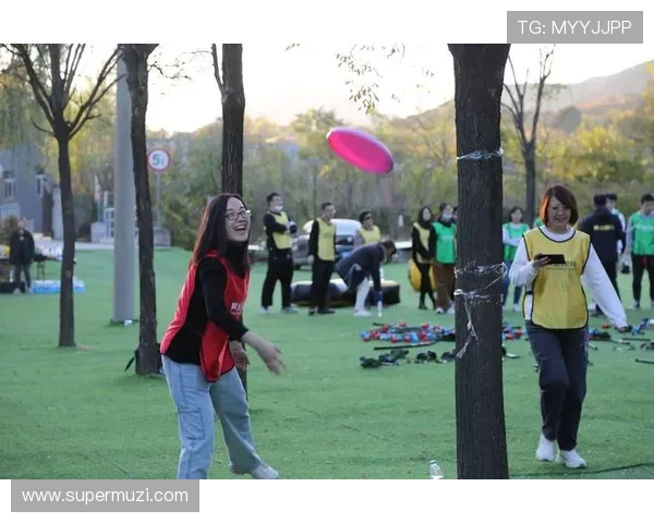 飞盘专题：深入探讨深圳飞盘队默契配合与战术运用的成功之道