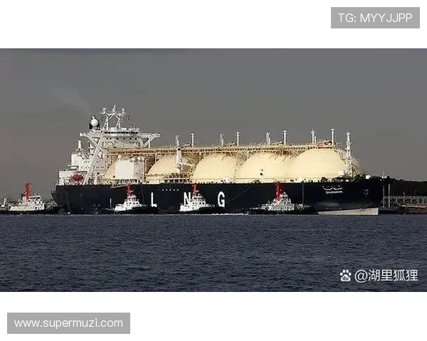 LNG在世界冠军杯中的节奏掌控与表现分析