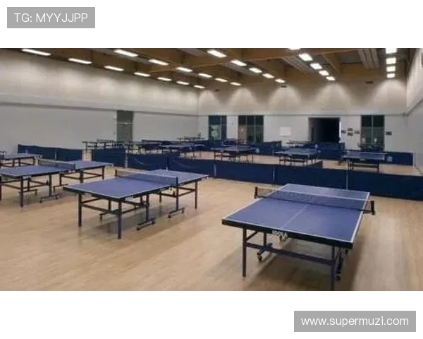 南京乒乓球队的阵地战体系与乒乓球战术的深度解析与应用探讨